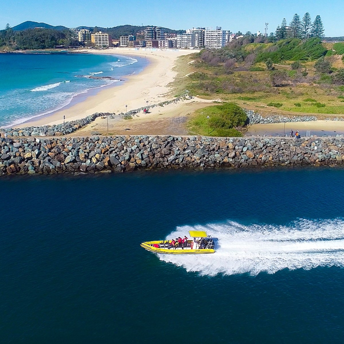 Dolphin watch ocean adventure - Forster luxury tours - NSW