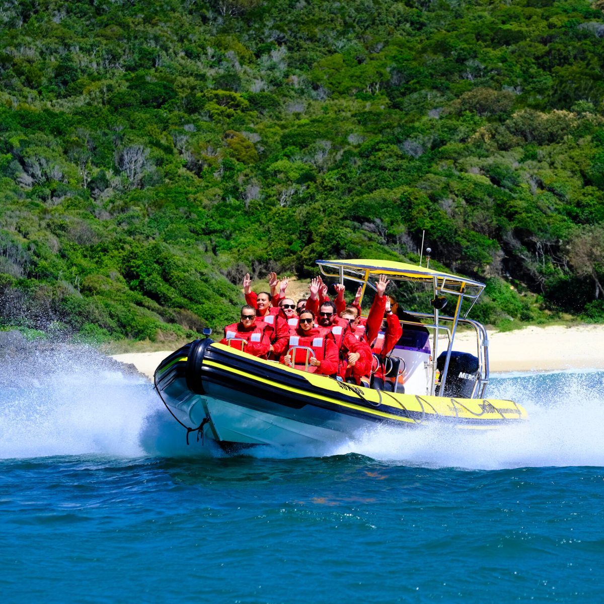 Whale watch ocean adventure epic fun- call Forster Luxury houseboats and book today NSW