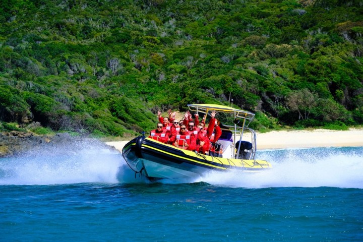 Whale watch ocean adventure - Forster luxury tours - join us May to October Forster NSW
